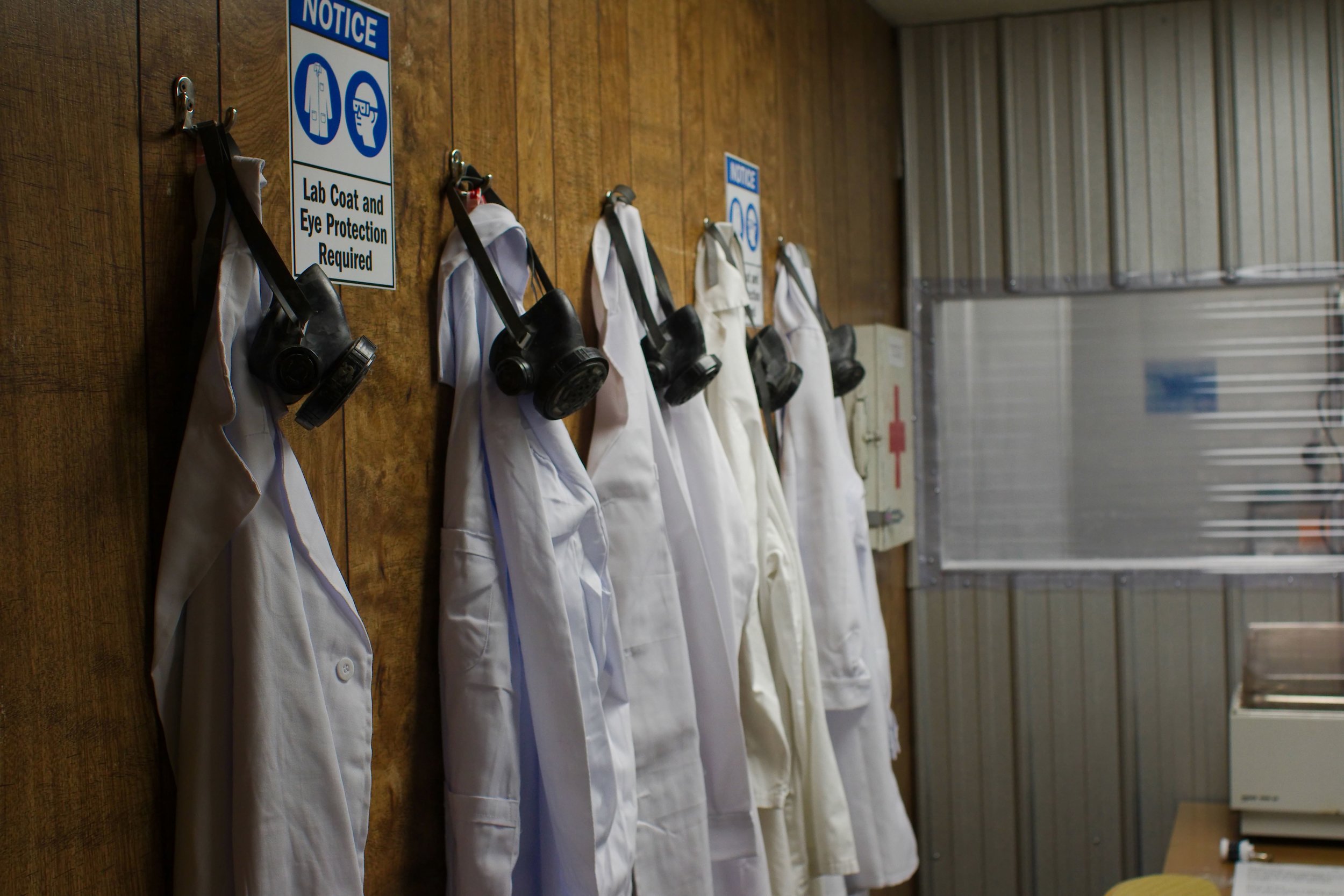 zombie lab